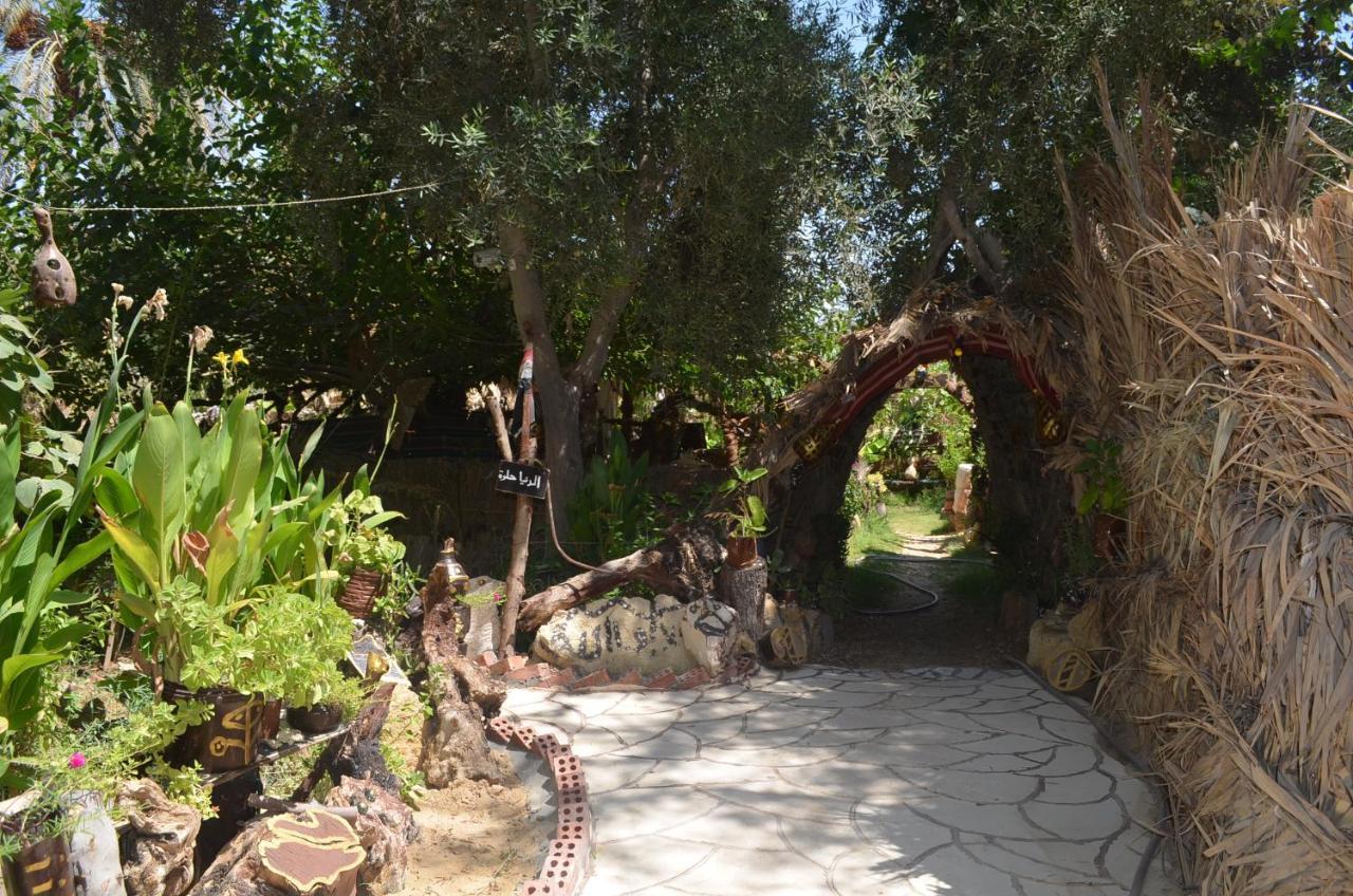 Hotel Mountain Camp Ali Khaled Siwa Oasis Exterior foto